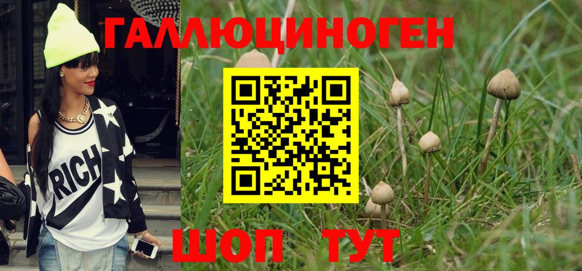 Галлюциногенные грибы прущие грибы Щёкино