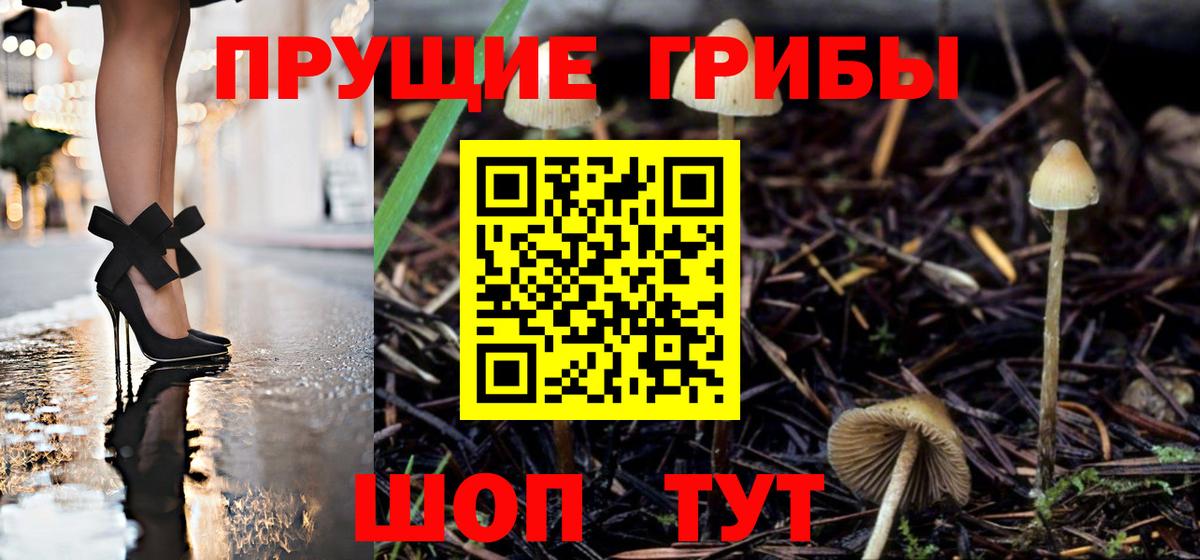 Галлюциногенные грибы Cubensis  Вход с VPN  Щёкино 